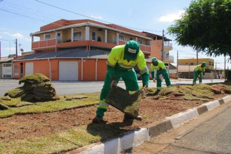 Cidade de Paulínia usa grama esmeralda em canteiros centrais